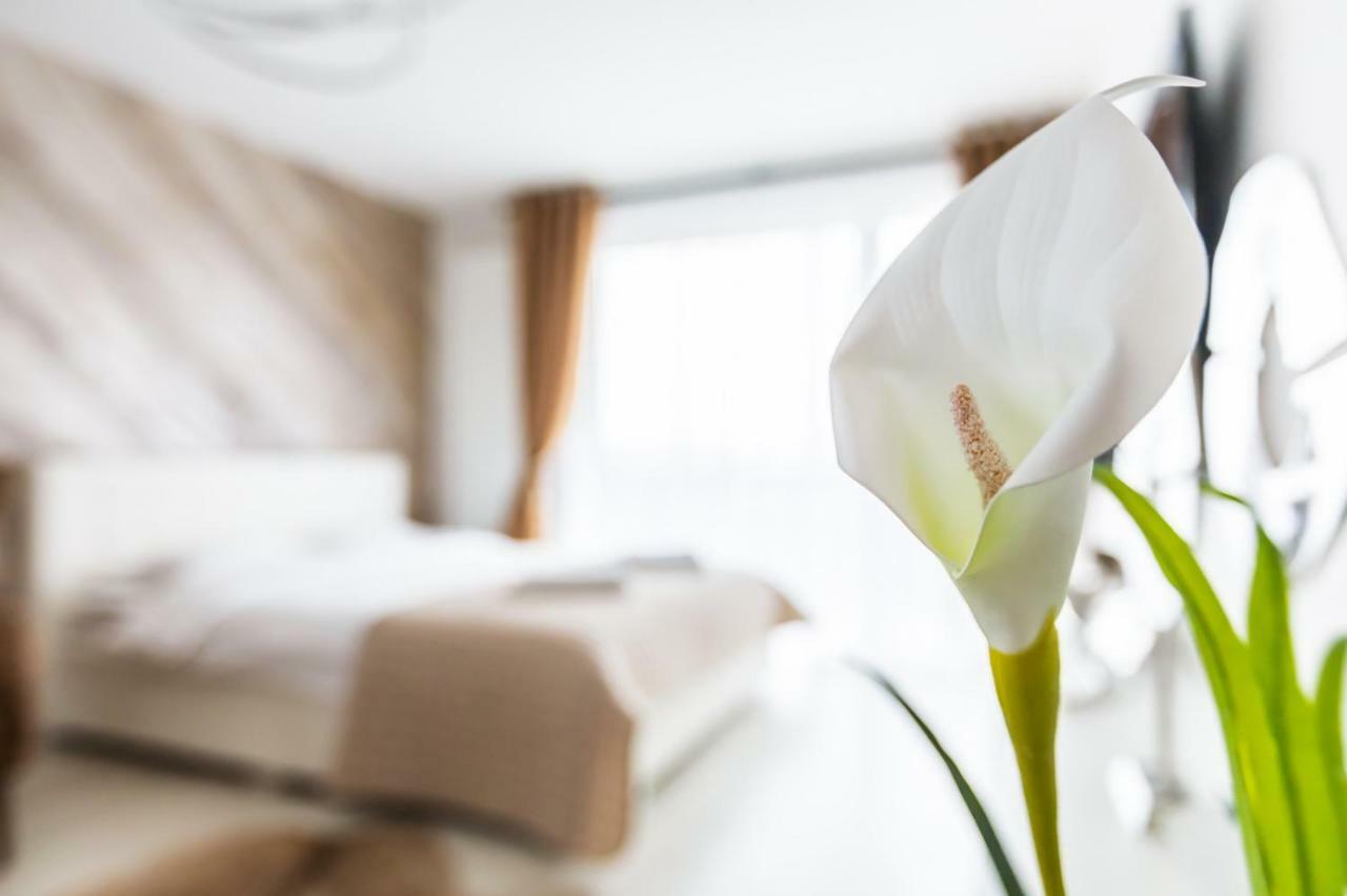 Apartment Alonisos Lux Брашов Екстериор снимка