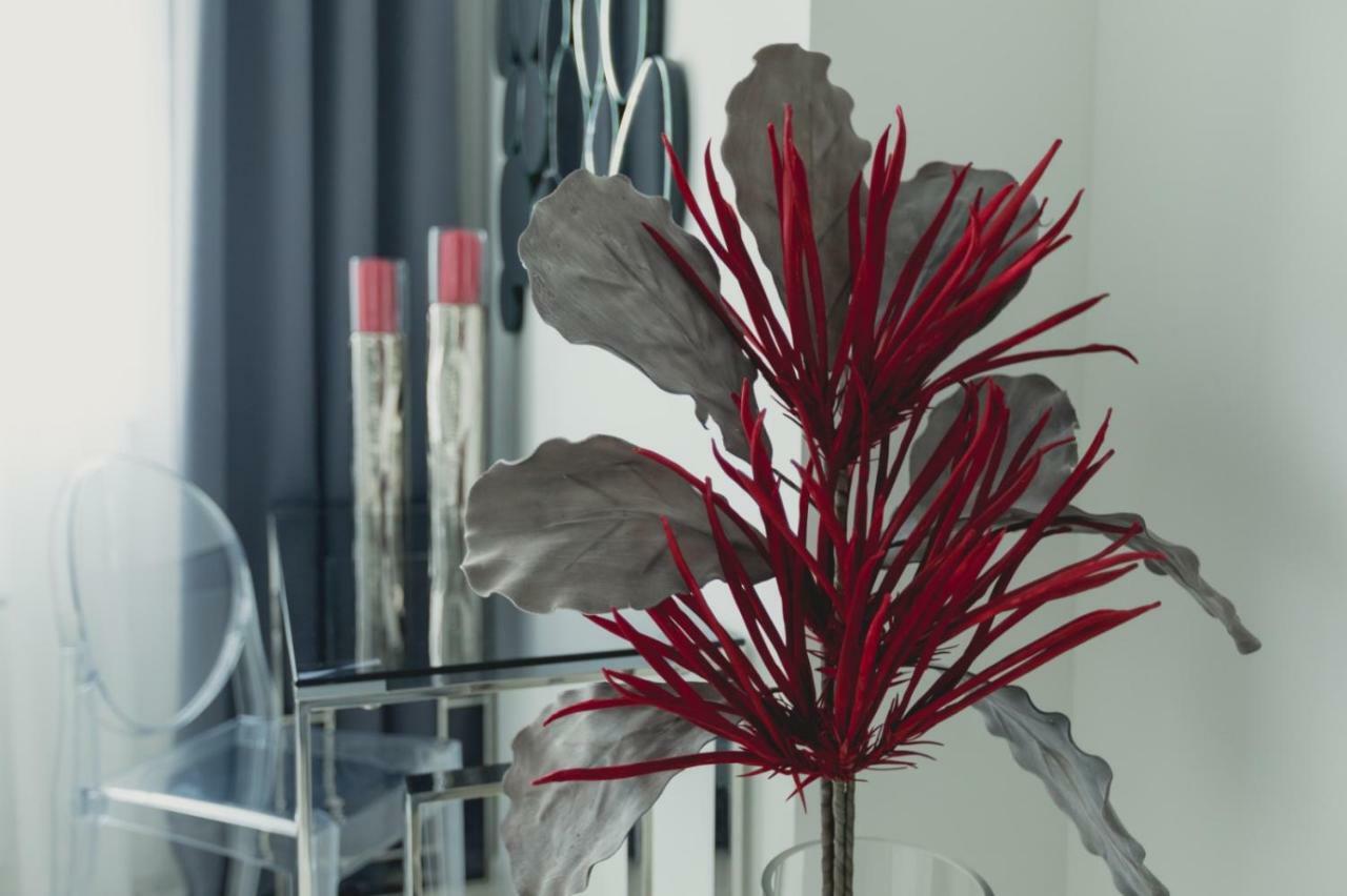 Apartment Alonisos Lux Брашов Екстериор снимка